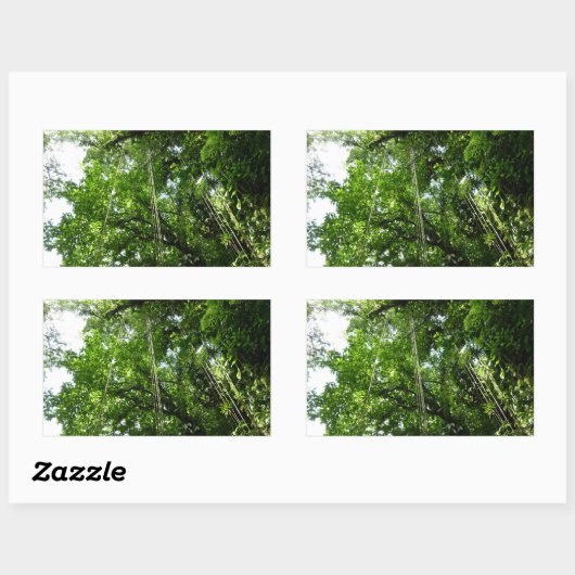 ジャングルロープ雨林写真 長方形シール (シート)