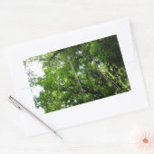 ジャングルロープ雨林写真 長方形シール (封筒)