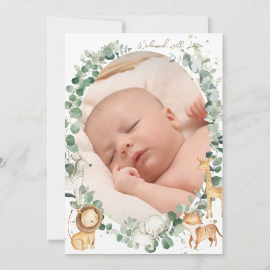 ジャングル動物ベビー誕生統計の写真のお知らせ (裏面)