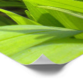 ジャングル大切子猫ポスター ポスター (角)