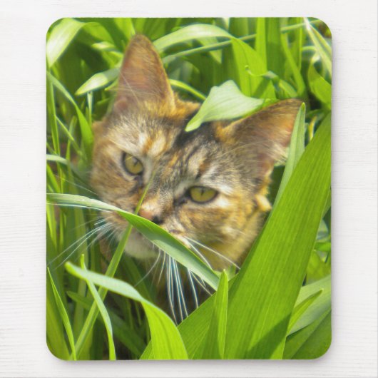 ジャングル大切子猫マウスパッド マウスパッド (正面)