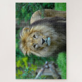 ジャングル威厳のあるの美しいライオン ジグソーパズル (縦)