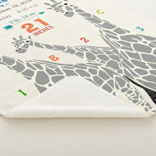 ジャングル子供部屋キラフェファミリー男の赤ちゃん誕生統計 シェルパブランケット (3/4)