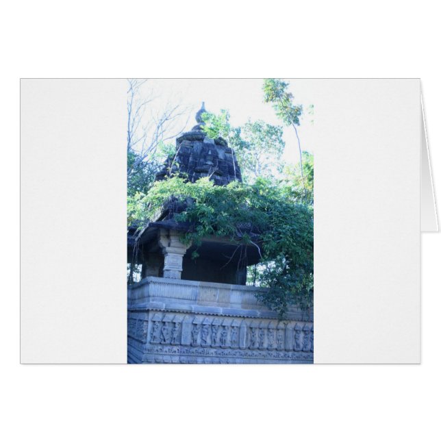 ジャングル建物 (正面横)