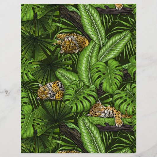 ジャングル猫ちゃん (裏面)