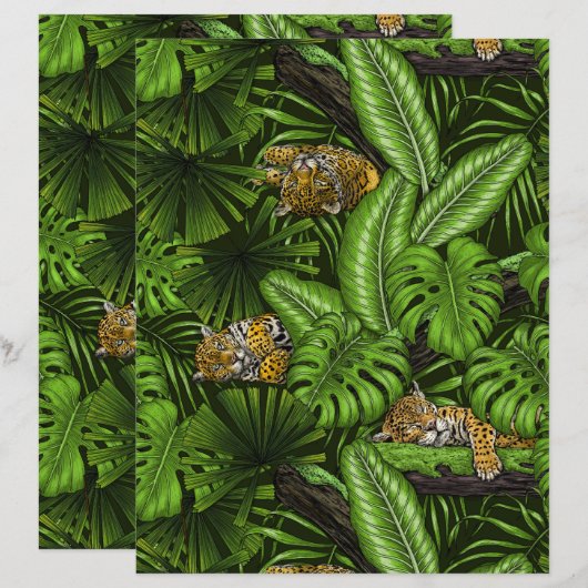 ジャングル猫ちゃん (正面/裏面)