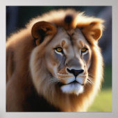 ジャングル王 ポスター (正面)