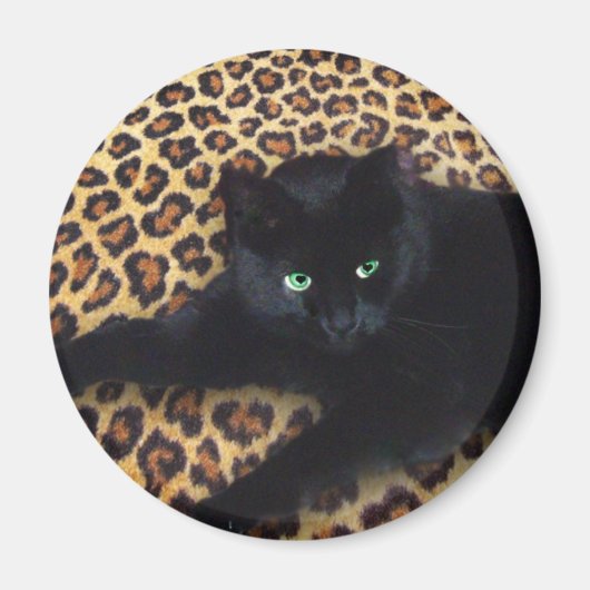 ジャングル王 マグネット (正面)