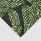 ジャングル離れティッシュペーパー 薄葉紙 (詳細)