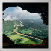 ジャングル風の窓 ポスター (正面)