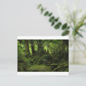 ジャングル・フォレス・オブ・モス ポストカード (スタンド正面)