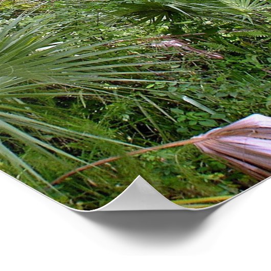 ジャングル ポスター (角)