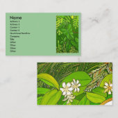 ジャングル 名刺 (正面/裏面)