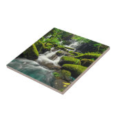 ジャングル| PhuのたらいのBerk山の滝 タイル (側面)