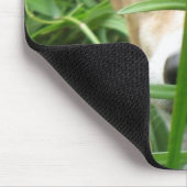 ジャングルIggy マウスパッド (コーナー)