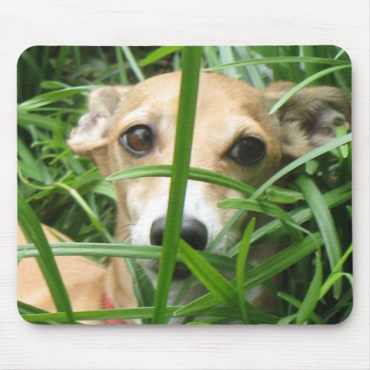 ジャングルIggy マウスパッド (正面)