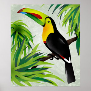 ジャングルToucan ポスター