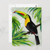 ジャングルToucan ポストカード (正面/裏面)