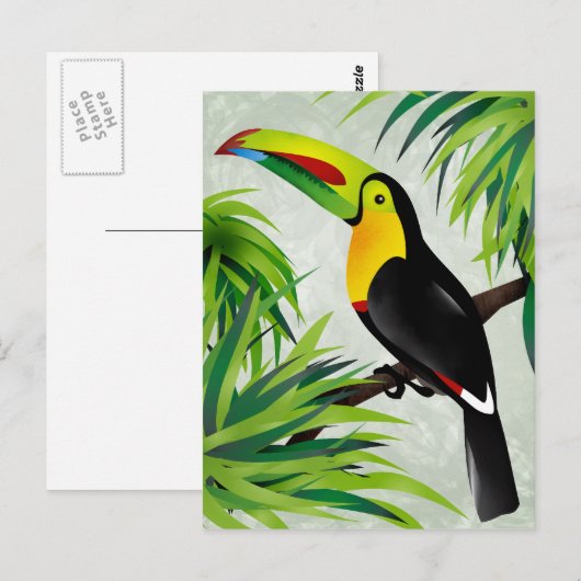 ジャングルToucan ポストカード (正面/裏面)