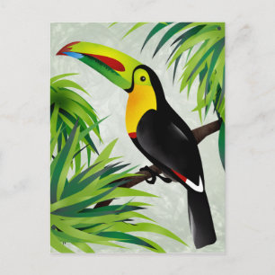 ジャングルToucan ポストカード