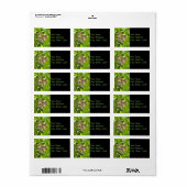 ジャング大切ル子猫住所 シール (フルシート)