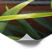 ジャング威厳のあるルで蝶とタイガー ポスター (角)