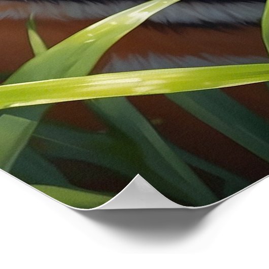 ジャング威厳のあるルで蝶とタイガー ポスター (角)