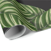 ジャング離れルラッピング紙 ラッピングペーパー (ロールコーナー)