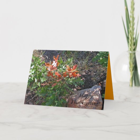 ジャンジによるハッピータンクスギビング！ シーズンカード (正面)