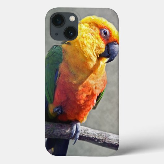 ジャンデイコニュア iPadケース Case-Mate iPhoneケース (裏面)