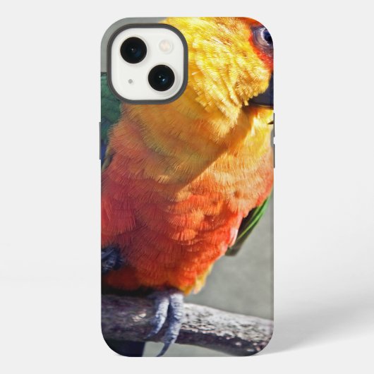 ジャンデイコニュア iPadケース iPhoneケース (裏面)