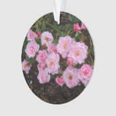 ジャンヌラジョエバラ#1オーナメント オーナメント (正面)