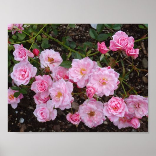 ジャンヌラジョワバラ#1ポスター ポスター (正面)