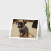 ジャンパー姿の子犬 カード (正面)