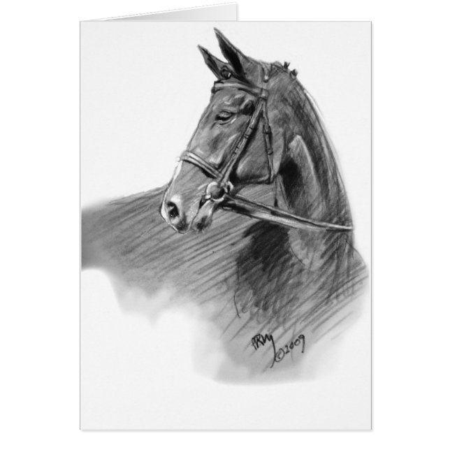 "ジャンパー" (正面)