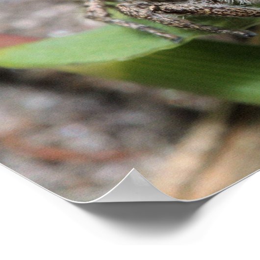 ジャンパー ポスター (角)