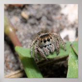 ジャンパー ポスター (正面)