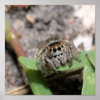 ジャンパー ポスター