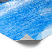 ジャンピングオルカホエールポスター ポスター (角)