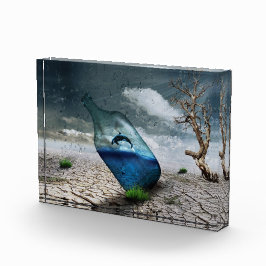 ジャンピングキラーホエールボトル フォトブロック