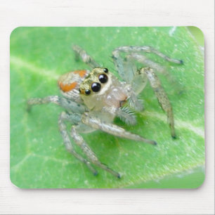 ジャンピングスパイダーサルティシッドマウスパッド マウスパッド