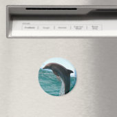 ジャンピングドルフィンマグネット マグネット (インサイチュ (食洗機))