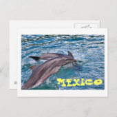 ジャンピングドルフィンメキシコ ポストカード (正面/裏面)