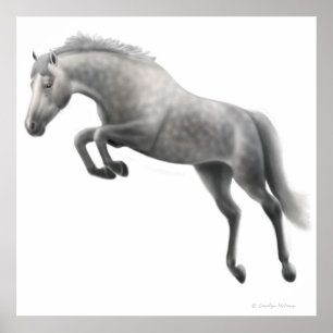 ジャンプする白馬 ポスター