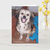 ジャンプジャックフラッシュグリーティングカード カード (黄色い花)