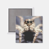 ジャンプスパイダースクエアマグネット マグネット (正面/裏面)