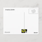 ジャンプスパイダー ポストカード (裏面)