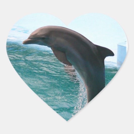 ジャンプドルフィンステッカー ハートシール (正面)