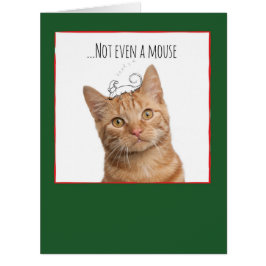 ジャンボクリスマスの猫及び落書きのクリスマスカード