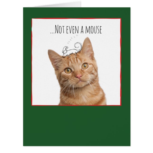 ジャンボクリスマスの猫及び落書きのクリスマスカード (正面)